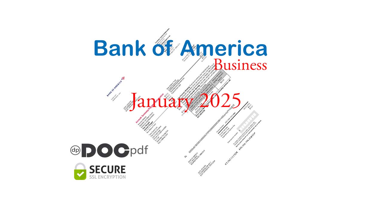 Bank of America Business Bank Statement January 2025