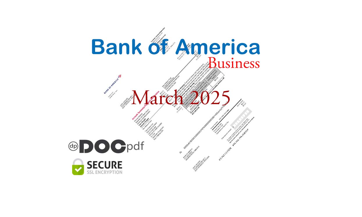 Bank of America Business Bank Statement March 2025